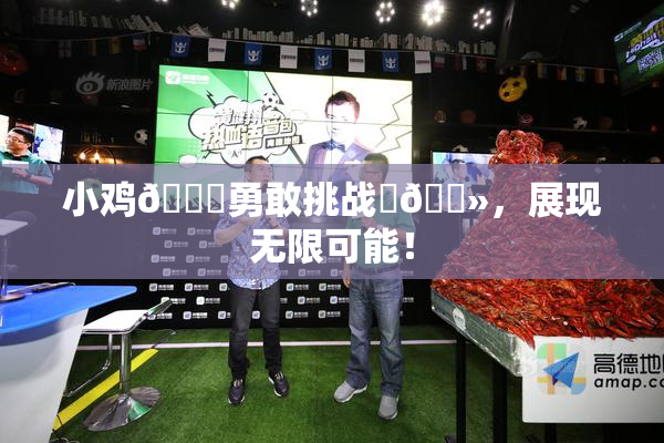小鸡🐔勇敢挑战‌🐻，展现无限可能！