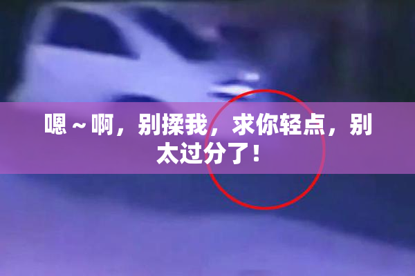 嗯～啊，别揉我，求你轻点，别太过分了！