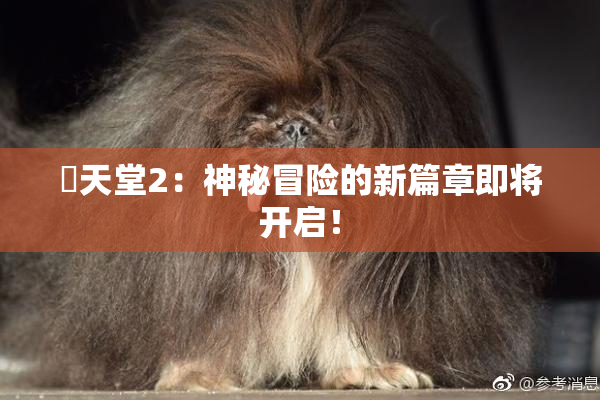 妺天堂2：神秘冒险的新篇章即将开启！