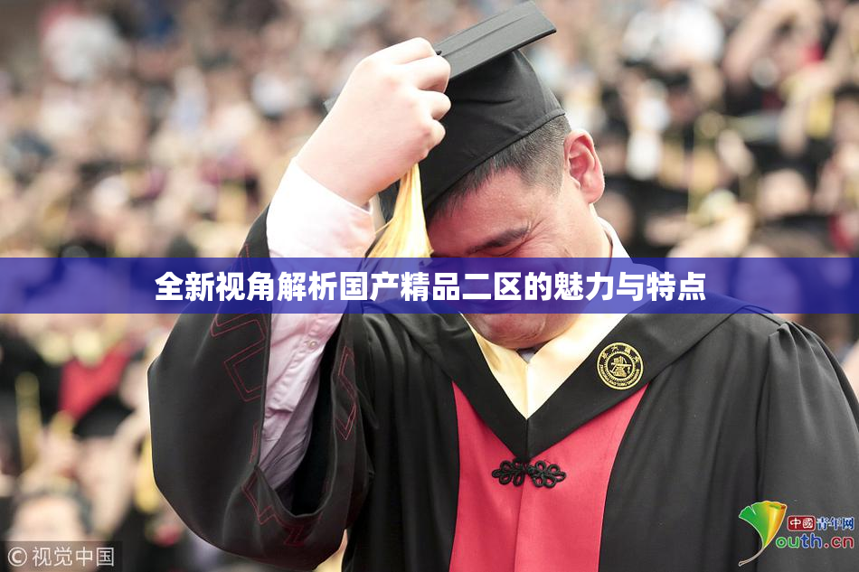 全新视角解析国产精品二区的魅力与特点