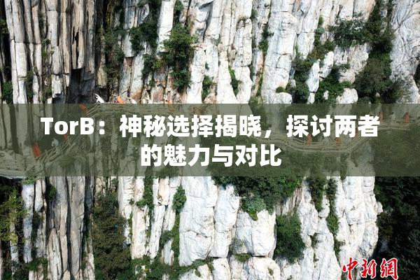 TorB：神秘选择揭晓，探讨两者的魅力与对比
