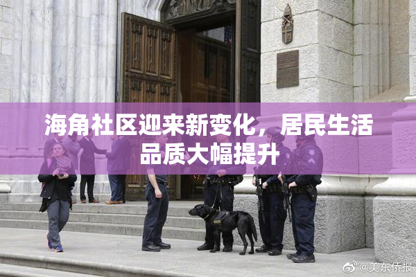 海角社区迎来新变化，居民生活品质大幅提升