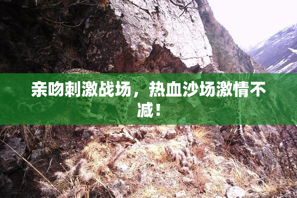 亲吻刺激战场，热血沙场激情不减！
