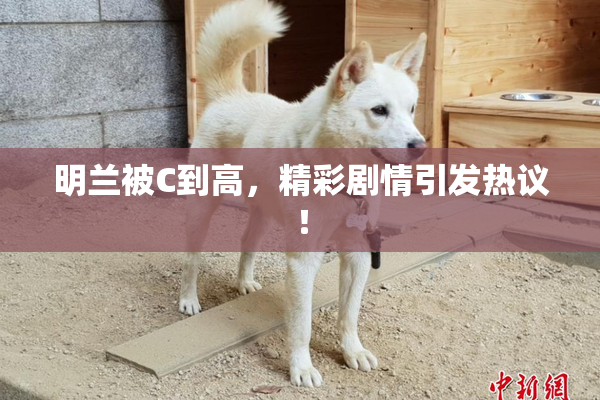 明兰被C到高，精彩剧情引发热议！