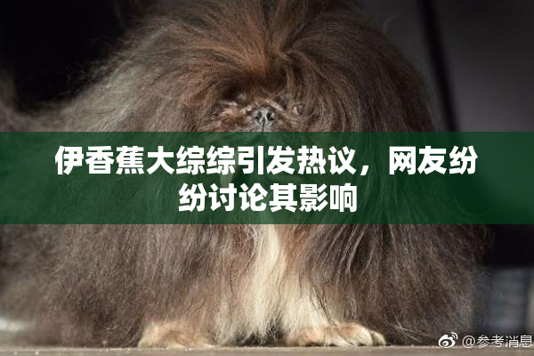 伊香蕉大综综引发热议，网友纷纷讨论其影响