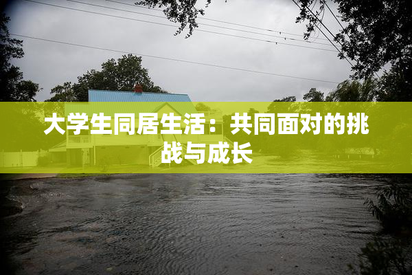 大学生同居生活：共同面对的挑战与成长