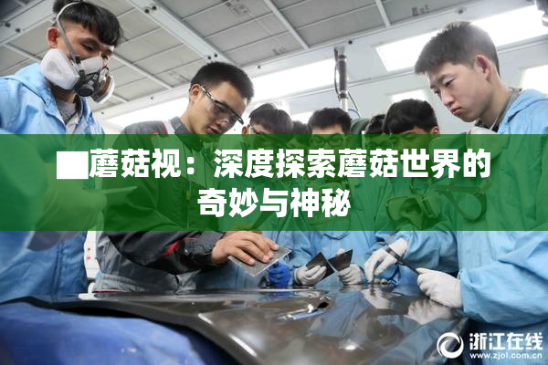 ▇蘑菇视：深度探索蘑菇世界的奇妙与神秘