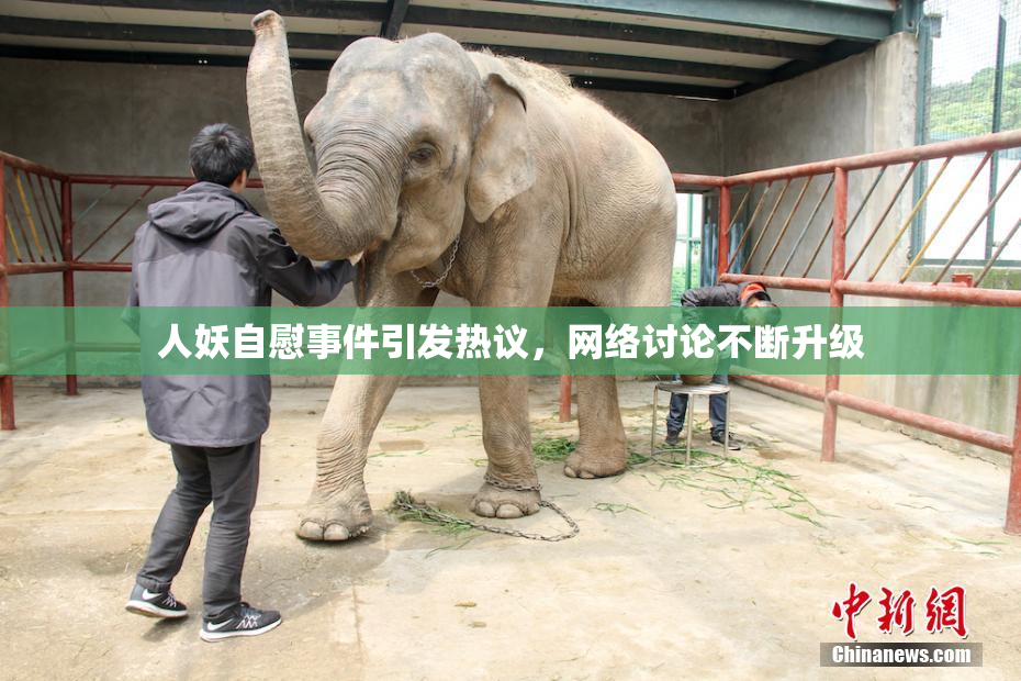 人妖自慰事件引发热议，网络讨论不断升级