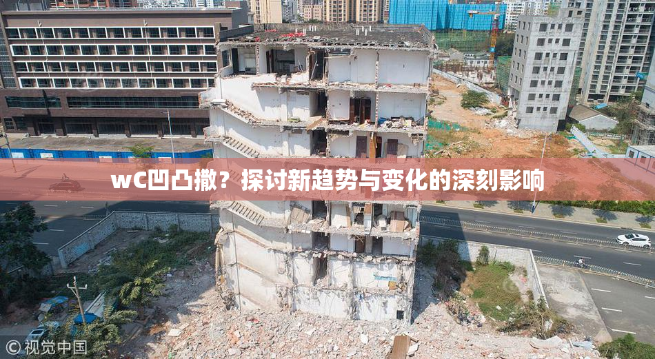 wC凹凸撒？探讨新趋势与变化的深刻影响