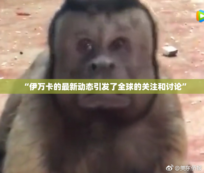 “伊万卡的最新动态引发了全球的关注和讨论”