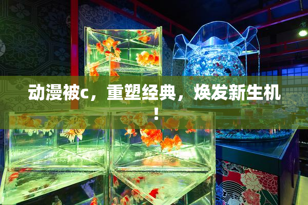 动漫被c，重塑经典，焕发新生机！