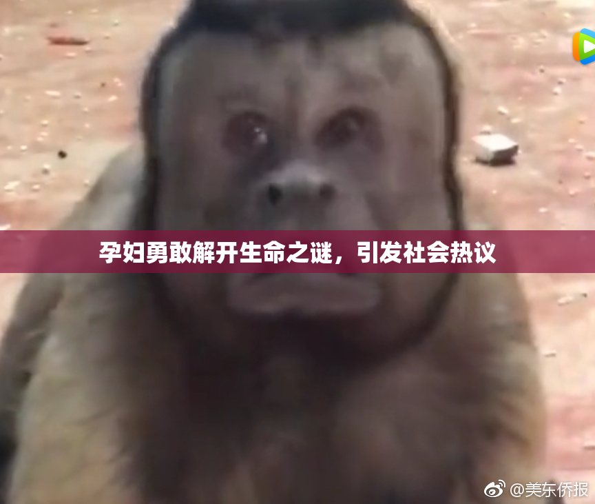 孕妇勇敢解开生命之谜，引发社会热议