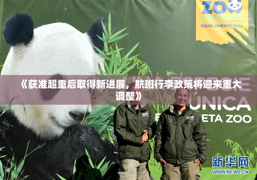 《获准超重后取得新进展，航班行李政策将迎来重大调整》