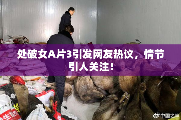 处破女A片3引发网友热议，情节引人关注！