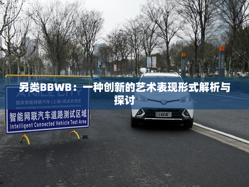 另类BBWB：一种创新的艺术表现形式解析与探讨