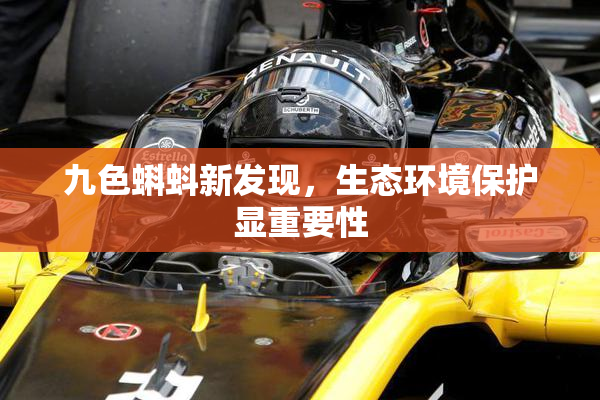 九色蝌蚪新发现，生态环境保护显重要性