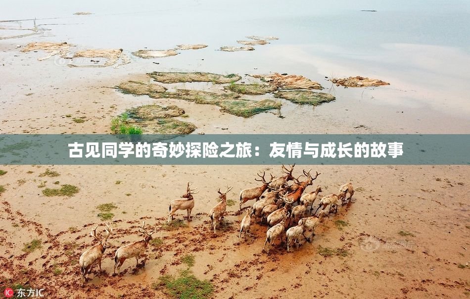 古见同学的奇妙探险之旅：友情与成长的故事