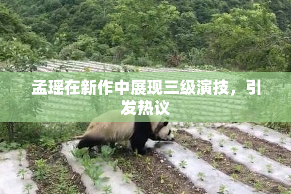 孟瑶在新作中展现三级演技，引发热议