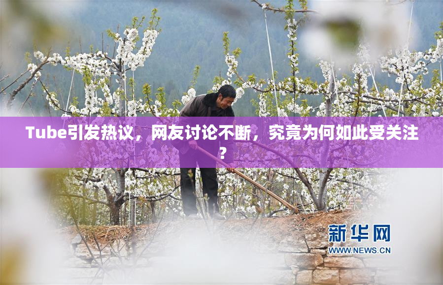 Tube引发热议，网友讨论不断，究竟为何如此受关注？