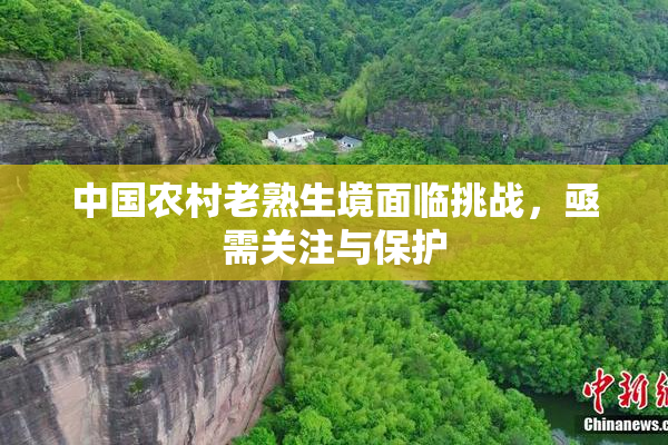 中国农村老熟生境面临挑战，亟需关注与保护