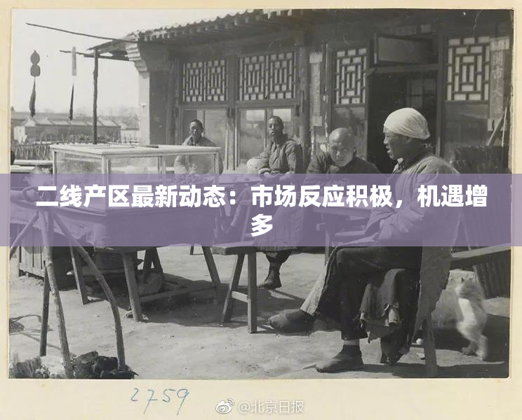 二线产区最新动态：市场反应积极，机遇增多