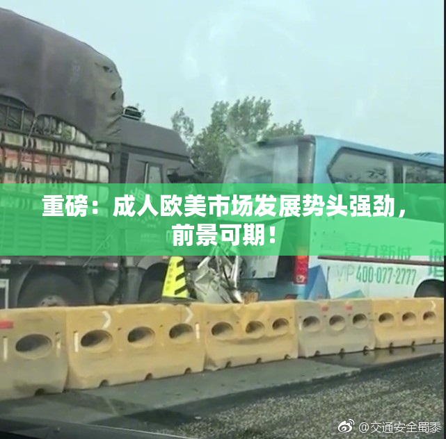 重磅：成人欧美市场发展势头强劲，前景可期！