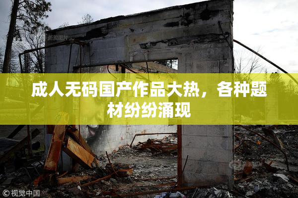成人无码国产作品大热，各种题材纷纷涌现