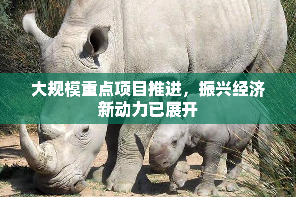 大规模重点项目推进，振兴经济新动力已展开