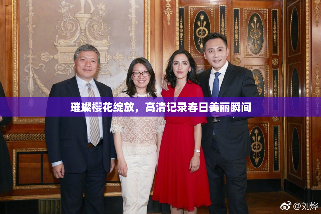 璀璨樱花绽放，高清记录春日美丽瞬间