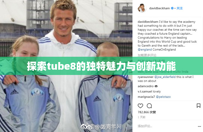 探索tube8的独特魅力与创新功能