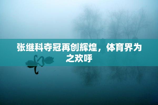 张继科夺冠再创辉煌，体育界为之欢呼
