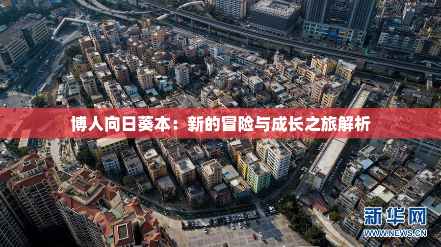 博人向日葵本：新的冒险与成长之旅解析