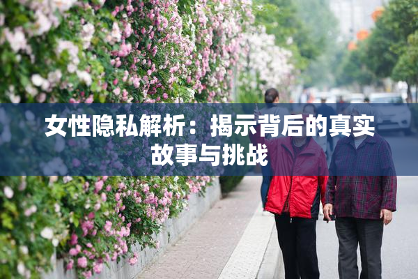 女性隐私解析：揭示背后的真实故事与挑战