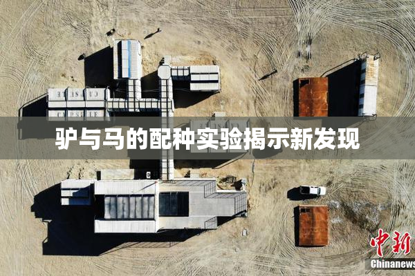 驴与马的配种实验揭示新发现