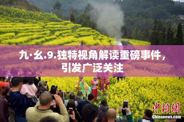 九·幺.9.独特视角解读重磅事件，引发广泛关注