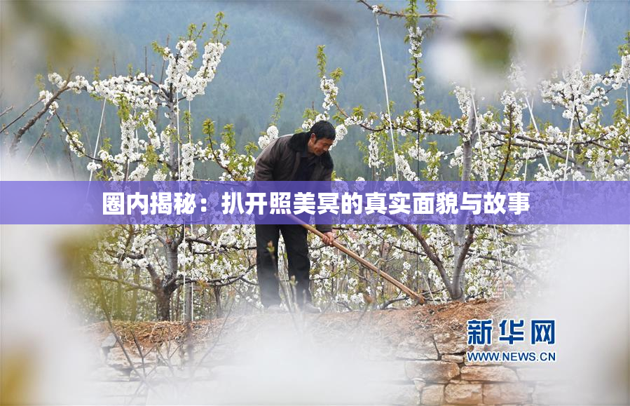圈内揭秘：扒开照美冥的真实面貌与故事