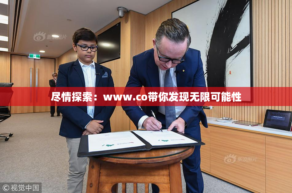 尽情探索：www.co带你发现无限可能性
