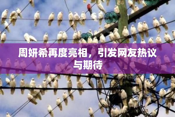 周妍希再度亮相，引发网友热议与期待