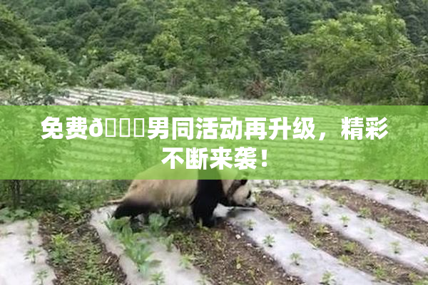 免费🔞男同活动再升级，精彩不断来袭！