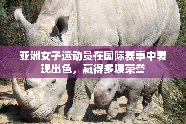 亚洲女子运动员在国际赛事中表现出色，赢得多项荣誉