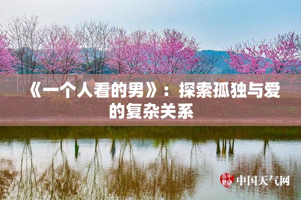 《一个人看的男》：探索孤独与爱的复杂关系