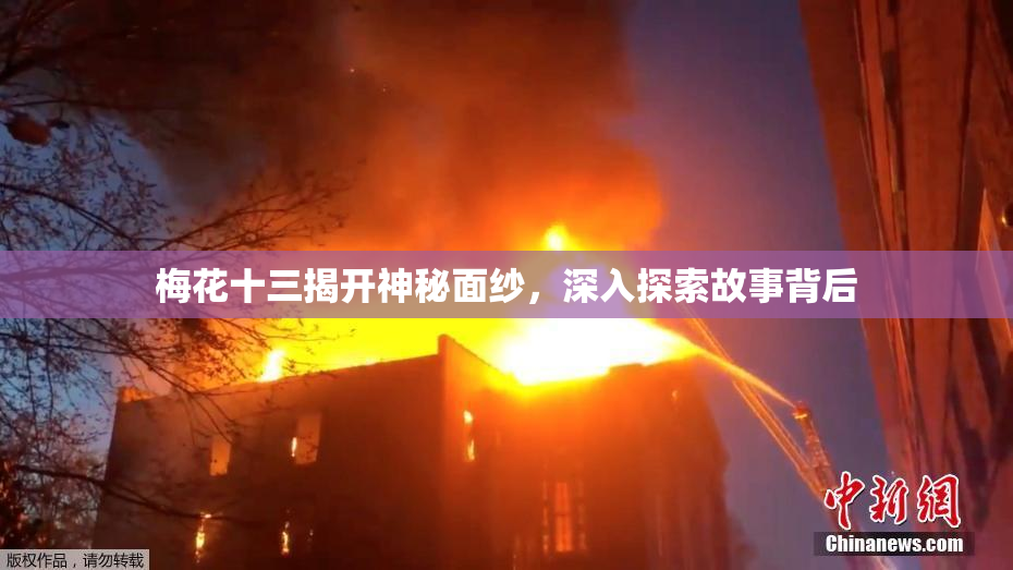 梅花十三揭开神秘面纱，深入探索故事背后