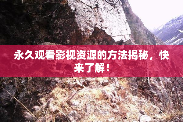 永久观看影视资源的方法揭秘，快来了解！