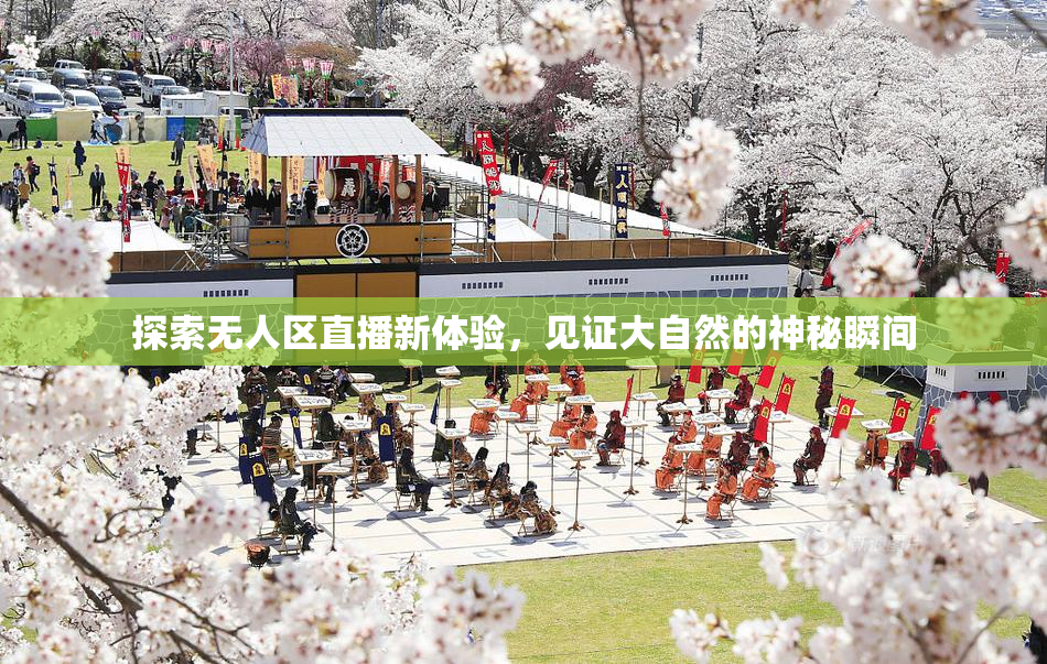 探索无人区直播新体验，见证大自然的神秘瞬间