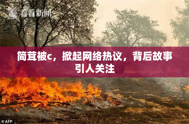 简茸被c，掀起网络热议，背后故事引人关注