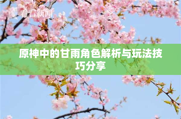 原神中的甘雨角色解析与玩法技巧分享