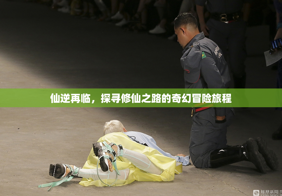 仙逆再临，探寻修仙之路的奇幻冒险旅程