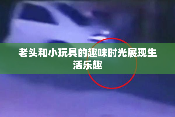 老头和小玩具的趣味时光展现生活乐趣