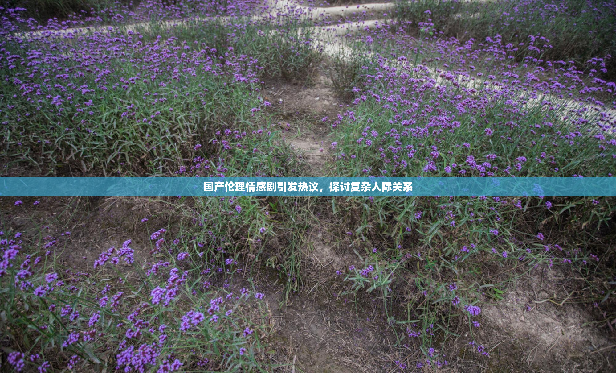 国产伦理情感剧引发热议，探讨复杂人际关系