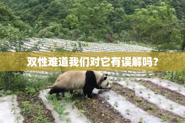 双性难道我们对它有误解吗？
